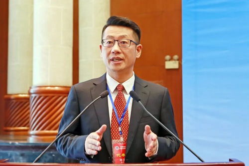 公证 律师连线谈知识产权保护